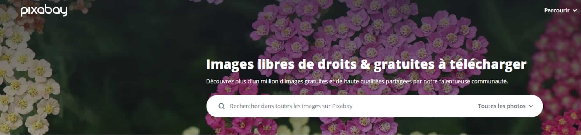 Images libres de droits : règles et outils