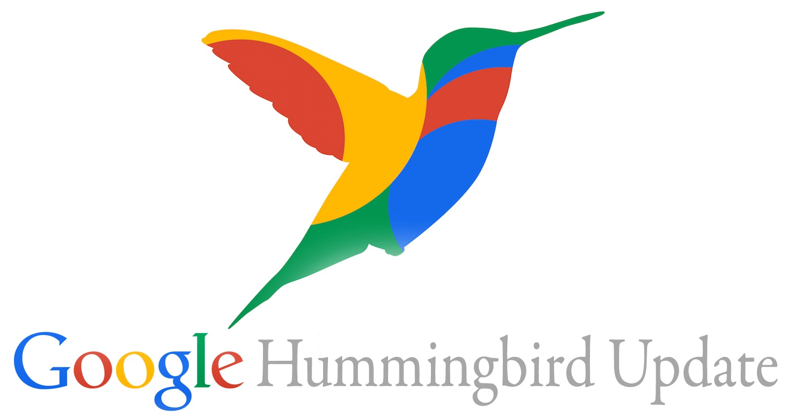 Google Hummingbird Update - Orthographe & SEO : Comment réagit l’algorithme de Google ?