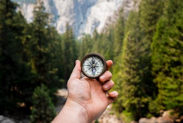 Personne qui tient une boussole dans une forêt - 17 conseils de relecture efficaces pour un contenu irréprochable [testés & approuvés]